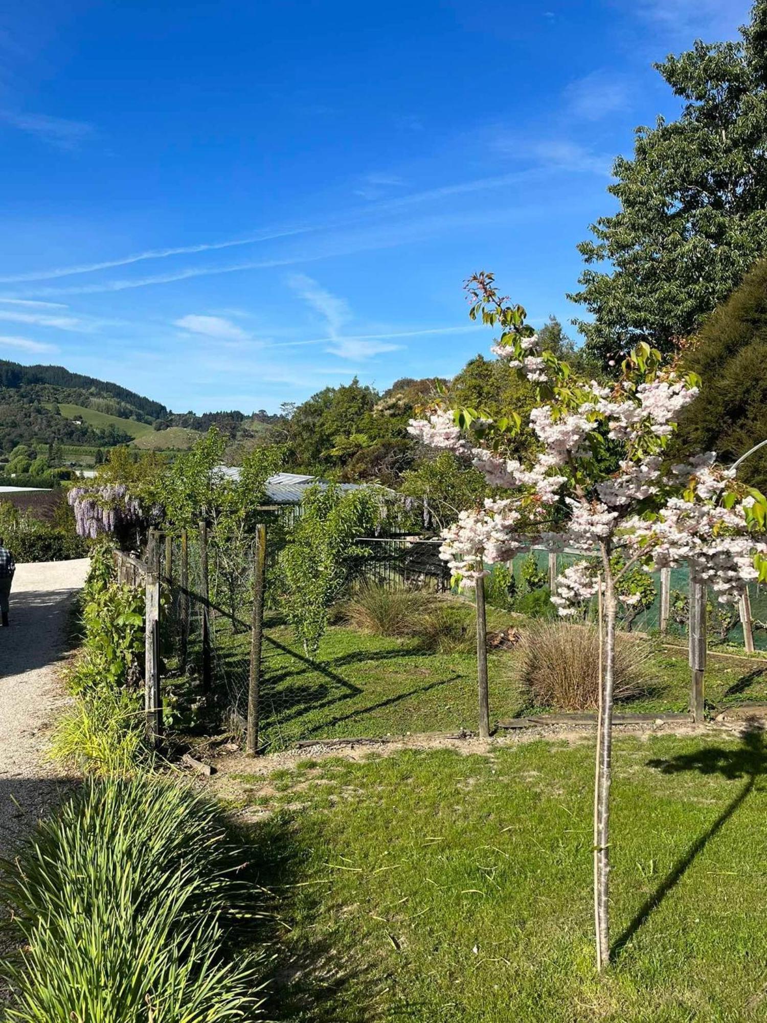 Terraced Chalets モトゥイーカ エクステリア 写真